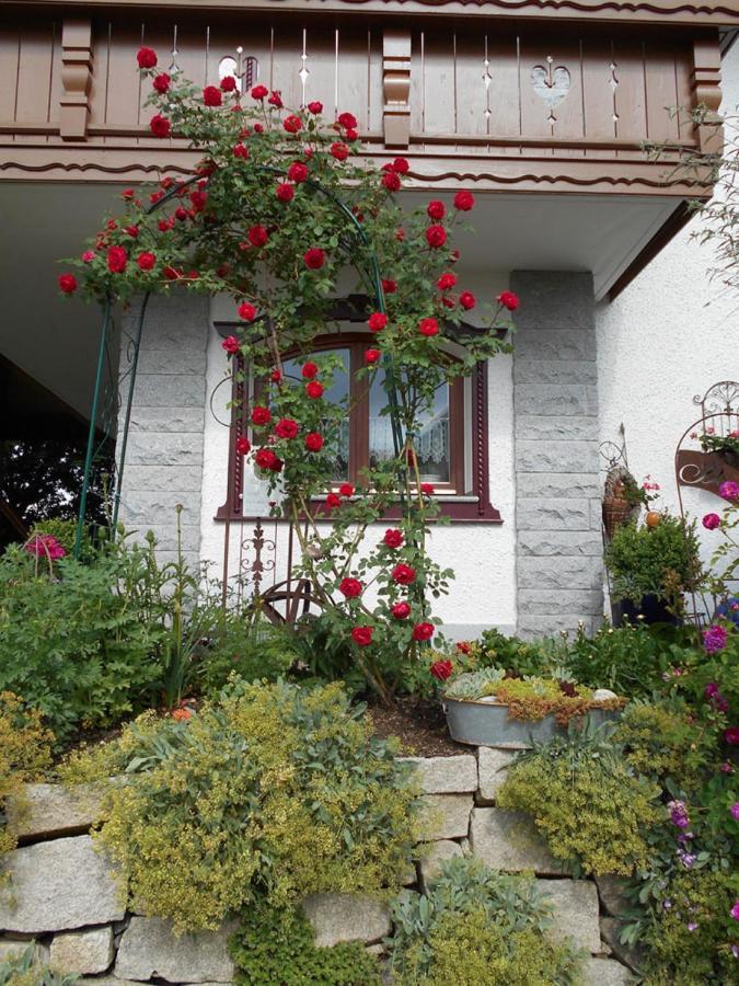 Ferienwohnung Arberblick لام المظهر الخارجي الصورة