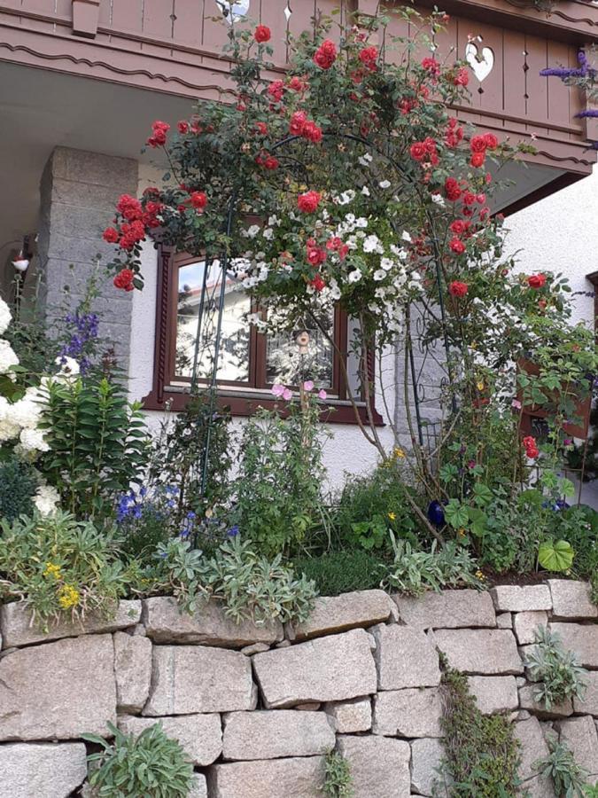 Ferienwohnung Arberblick لام المظهر الخارجي الصورة