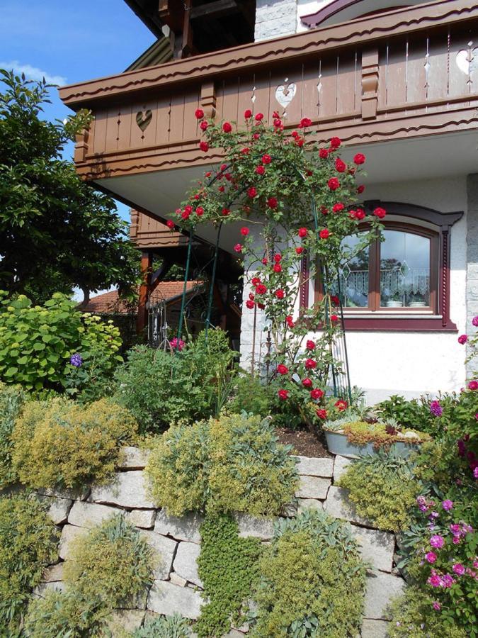 Ferienwohnung Arberblick لام المظهر الخارجي الصورة